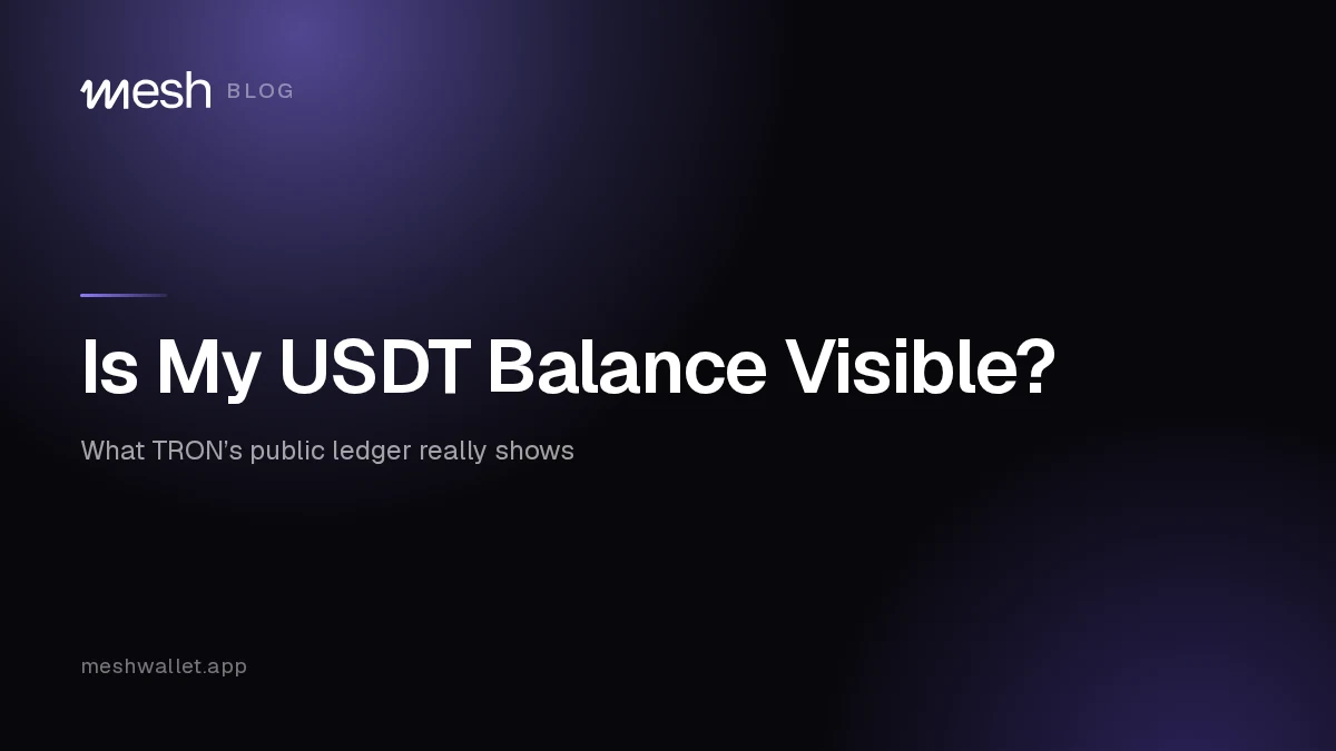 Can Anyone See My USDT Balance and Transfers?