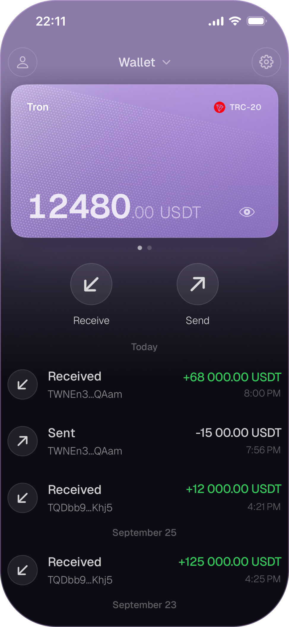 Tron TRC-20 wallet screen